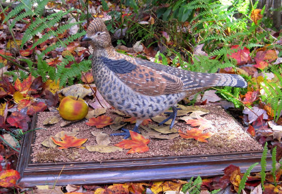 decoys_picture_2.jpg